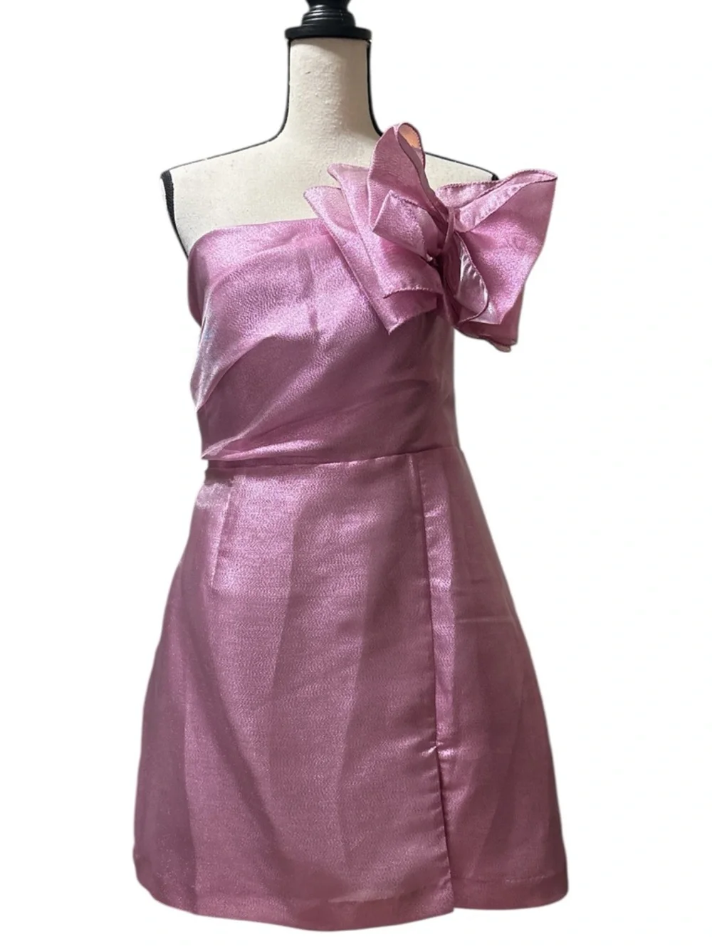 Hutch Metallic Corsage Bow Mini Dress in Pink / Rose Sz 6 - BNWT - Barbiecore